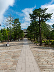 東大寺の大仏殿へと続く参道の風景