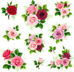 Roses. Set of colorful roses isolated on a white background. Red, pink, purple, and white roses. Set of vector floral design elements - obrazy, fototapety, plakaty