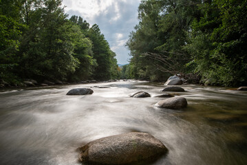 View of a forest river with rocks and water flow