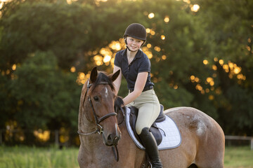 Equestrian portraits on a roan bay horse riding in English Tack hunter jumper eventing