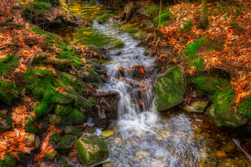 Spring at Ricketts Glen State Park in Benton PA.  Known for its 21 waterfalls and old-growth forest and boulders.  Hiking the loop on a cold Spring Day.   - obrazy, fototapety, plakaty