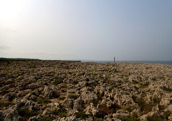 Paesaggio roccioso della penisola della Maddalena, Plemmirio, Siracusa 25