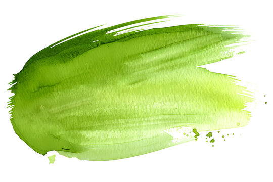 Vibrant green watercolor brush stroke on transparent background.