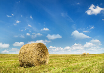 Bales of hay in a large field.