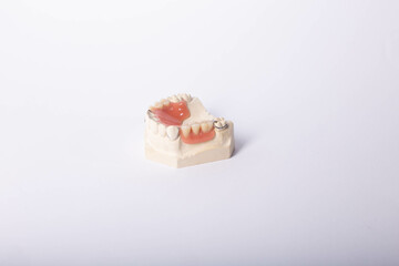 Dental cast during processing denture.