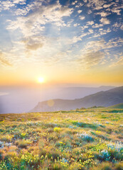 Sunrise in summer mountains. - 772616882