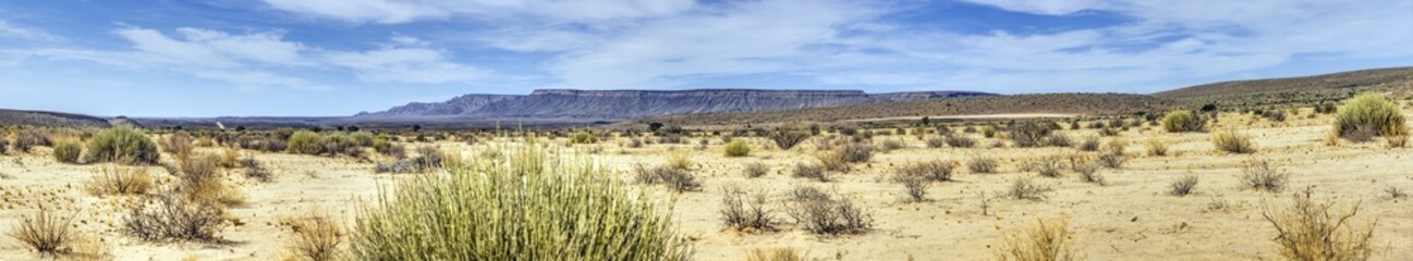 Panoramic picture of the desert-like steppe in the south of Namibia with flat table mountains