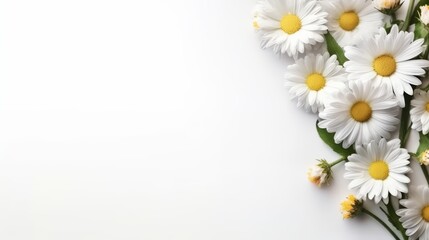 Daisy Flower Decoration on a White Background, Perfect for Wedding Design. Generative AI