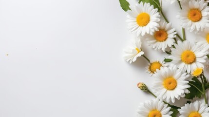 Fototapeta premium Daisy Flower Decoration on a White Background, Perfect for Wedding Design. Generative AI