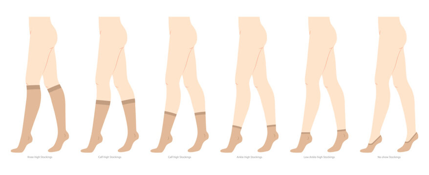 Set of stocking hosiery Invisible, low cut, ankle, crew, mid calf, knee high, over knee length hose. Fashion accessory clothing technical illustration. Vector side view for Men, women, flat sketch