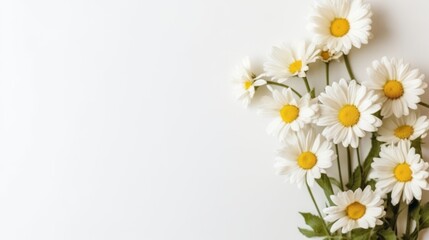 Fototapeta premium Daisy Flower Decoration on a White Background, Perfect for Wedding Design. Generative AI
