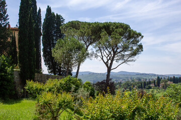 A peaceful scene in the Tuscan countryside, with tall cypress trees and lush greenery against the backdrop of rolling hills.