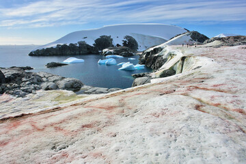 Panorama of Antarctica on Petersmann Island