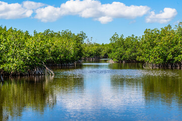 Everglades