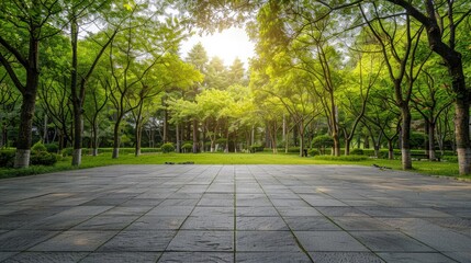 Empty square floor and green woods natural scenery in city park