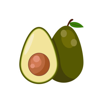 illustration of an avicado fruit