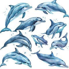Clipart illustration featuring a various of dolphin on white background. Suitable for crafting and digital design projects.[A-0001]