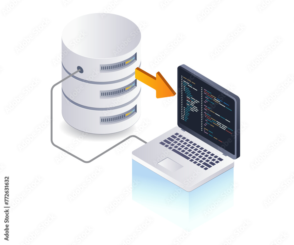 Poster Web developer program language database, flat isometric 3d illustration