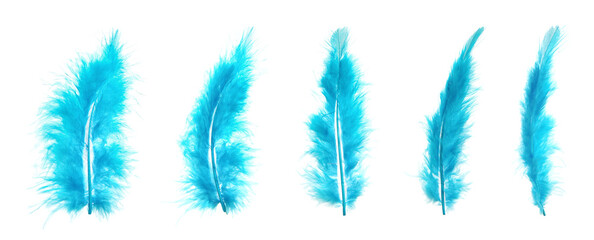 Beautiful light blue feathers isolated on white, set