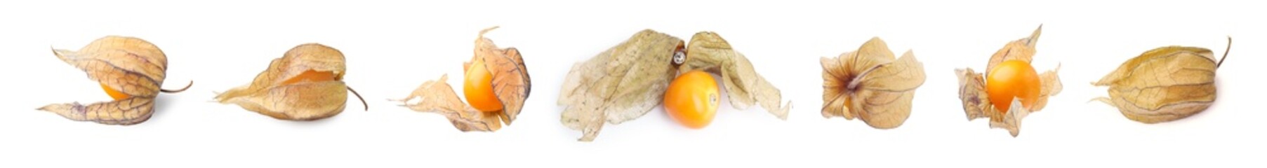 Ripe orange physalis fruits with calyx isolated on white, set