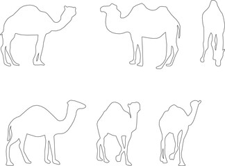 Adobe Illustrator Artwork camel desert animal vector design sketch illustration with hump