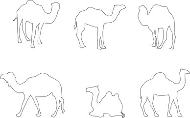 Adobe Illustrator Artwork camel desert animal vector design sketch illustration with hump - obrazy, fototapety, plakaty