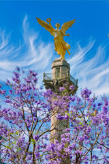 Springtime View of Angel of Independence, Mexico City with Jacarandas
