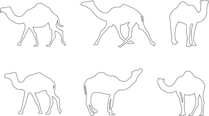 Adobe Illustrator Artwork camel desert animal vector design sketch illustration with hump