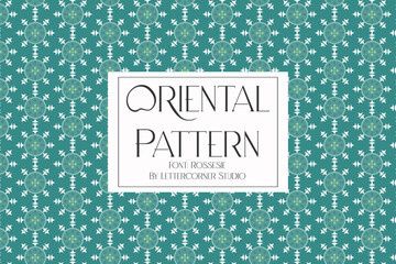 vector Oriental indonesian traditional pattern collection	
