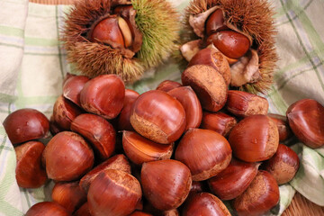 収穫した新鮮な栗の実、秋の木の実、モンブラン
