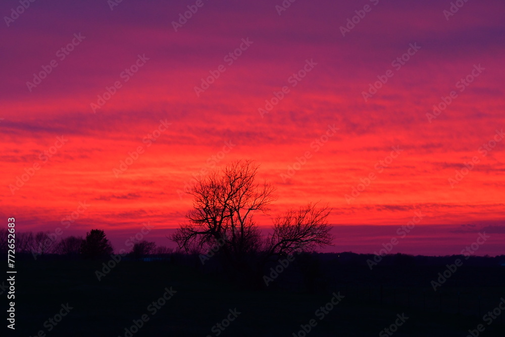 Canvas Prints purple and pink sunset