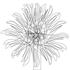 Flower Outline
