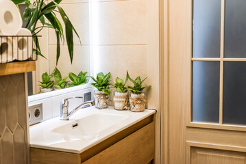 Sansevieria flowers in pots standing on sink as a bathroom decoration