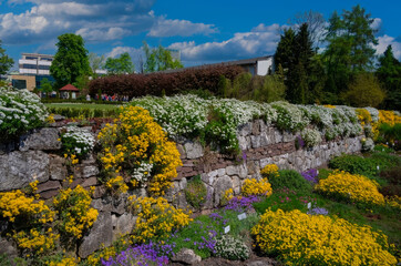 Vibrant Garden, Stone Wall, and Blooming Flowers in Krakow's Summer