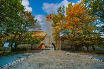 autumn in the park