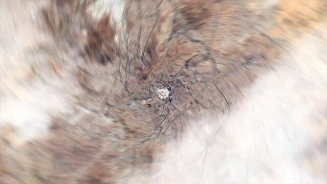 Zoom from space on Al Haram Mosque - Mecca - Saudi Arabia - Zoom in