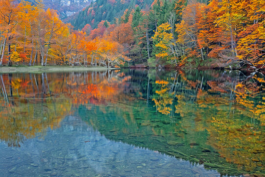 Tranquil Lake Reflecting the Colorful Autumn Forest: The Water's Mirror Captures Nature's Beauty in the Deepening Fall