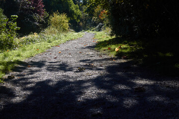 Gravel Path into the Sunshine
