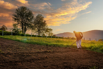 Farmer working on an agricultural fields at sunset. - obrazy, fototapety, plakaty