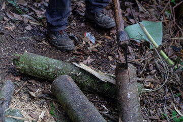 Man holding heavy Axe in lumberjack hands chopping or cutting wood trunks