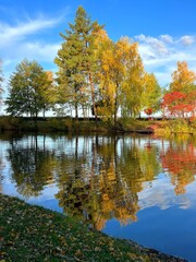Fototapeta na wymiar Autumn park landscape with lake and trees.