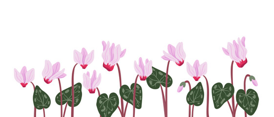 sowbread, Cyclamen flowers, vector drawing wild plants at white background, ,floral border, hand drawn botanical illustration