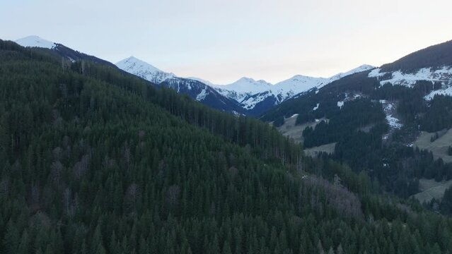 Pine forest covering mountains with snow patches in Saalbach-Hinterglemm (Austria) at dusk, aerial view
