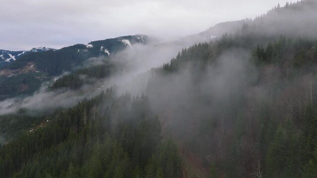 Misty forest on the slopes of Saalbach-Hinterglemm ski resort, Austria, aerial view