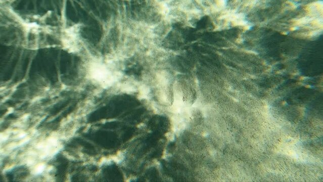 Underwater video of houses of sedentary polychaete worms on the sandy dunes. Crete. Greece