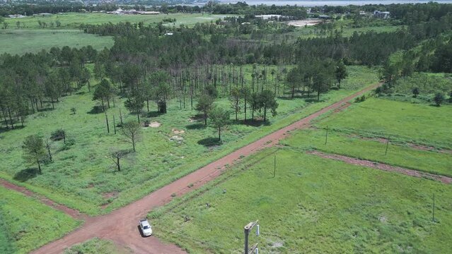 A car on a red dirt road through a lapacho tree plantation in misiones, posadas, aerial view