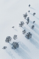 Topdown aerial view of a snow field with trees