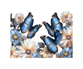 colorful_blue_tropical_morpho_butterflies