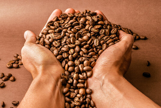 Manos con Granos de Caf&eacute; Colombiano Sabor intenso