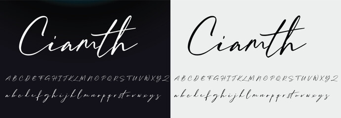 signature Font Calligraphy Logotype Script Brush Font Type Font lettering handwritten